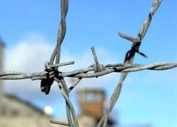 В Волгограде военный городок на Латошинке станет колонией-поселением В Волгограде военный городок на Латошинке станет колонией-поселением