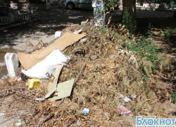 В Волгограде на улице Толстого уже год нет дворника В Волгограде на улице Толстого уже год нет дворника