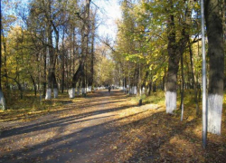 В Волгограде займутся парками В Волгограде займутся парками