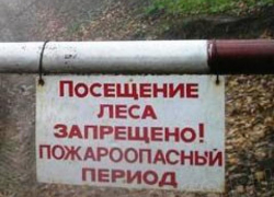 В Волгоградской области установлен особый противопожарный режим В Волгоградской области установлен особый противопожарный режим