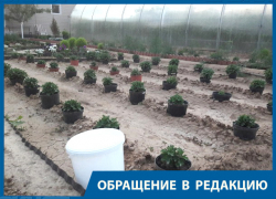 Во всех долгах он обвиняет нас, списывает на то, что кто-то из жителей не заплатил по счетам, - волгоградка о председателе СНТ Во всех долгах он обвиняет нас, списывает на то, что кто-то из жителей не заплатил по счетам, - волгоградка о председателе СНТ