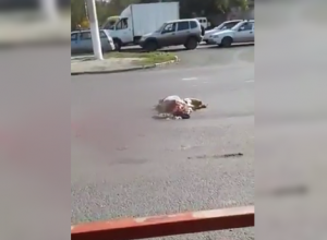 Смертельное ДТП с пожилой волгоградкой попало на видео Смертельное ДТП с пожилой волгоградкой попало на видео