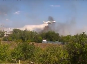 Волгоградские чиновники до сих пор не помогли пострадавшим в ландшафтных пожарах Волгоградские чиновники до сих пор не помогли пострадавшим в ландшафтных пожарах