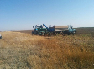 Под Волгоградом начали засеивать поле для Путина Под Волгоградом начали засеивать поле для Путина