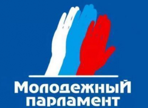 В Волгограде предложили разогнать Молодежный парламент В Волгограде предложили разогнать Молодежный парламент