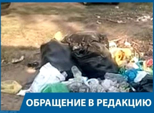 Поставьте мусорные ящики на пляже «Бобры», - волгоградец в адрес администрации Краснослободска Поставьте мусорные ящики на пляже «Бобры», - волгоградец в адрес администрации Краснослободска