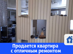 Продается квартира с отличным ремонтом Продается квартира с отличным ремонтом