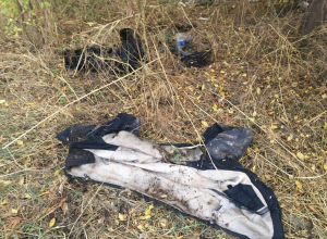Полицейские искали похитителя ковра, а раскрыли убийство под Волгоградом Полицейские искали похитителя ковра, а раскрыли убийство под Волгоградом