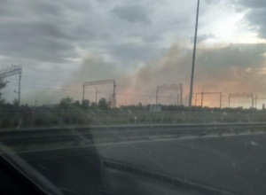 В Волгограде тушат лес на границе Дзержинского и Городищенского районов В Волгограде тушат лес на границе Дзержинского и Городищенского районов
