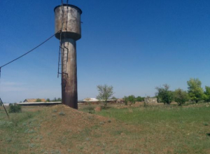 Жителей хутора под Волгоградом заставляют пить воду с птичьим пометом Жителей хутора под Волгоградом заставляют пить воду с птичьим пометом