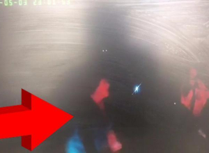 Нападение матери лихача на полицейских попало на видео под Волгоградом Нападение матери лихача на полицейских попало на видео под Волгоградом
