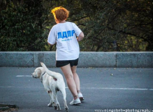Безработный депутат уступил свой мандат в Волгоградской гордуме миллионеру Безработный депутат уступил свой мандат в Волгоградской гордуме миллионеру