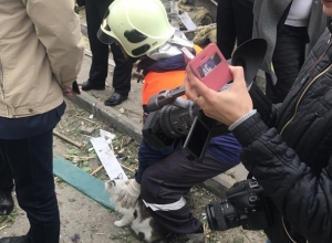 Сотрудник МЧС спас окровавленного кота из-под обломков взорвавшегося дома в Волгограде Сотрудник МЧС спас окровавленного кота из-под обломков взорвавшегося дома в Волгограде