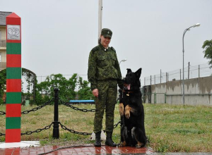 Волгоградские пограничники празднуют 100-летие ведомства Волгоградские пограничники празднуют 100-летие ведомства