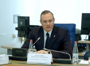 Глава Волгограда Андрей Косолапов сам выберет себе приемника Глава Волгограда Андрей Косолапов сам выберет себе приемника