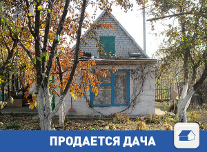 Продается дача с красивым фруктовым садом Продается дача с красивым фруктовым садом