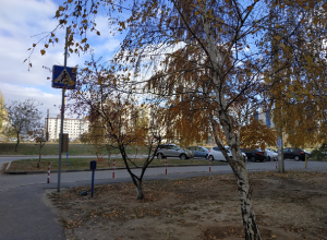В Волгограде заканчивается теплая погода В Волгограде заканчивается теплая погода