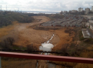 Уфолог объяснил происхождение пугающих кругов в камышах на севере Волгограда Уфолог объяснил происхождение пугающих кругов в камышах на севере Волгограда
