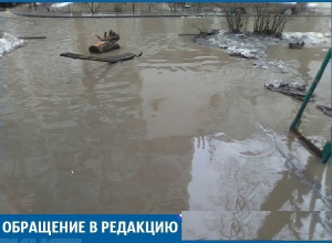 Мы не можем проголосовать на выборах президента России из-за лужи-гиганта, - волгоградцы Мы не можем проголосовать на выборах президента России из-за лужи-гиганта, - волгоградцы