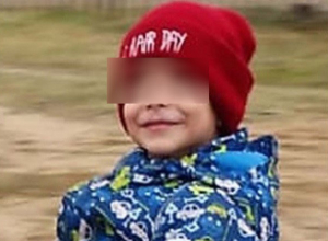 Дело об убийстве возбуждено после пропажи четырехлетнего глухонемого мальчика в Михайловке Дело об убийстве возбуждено после пропажи четырехлетнего глухонемого мальчика в Михайловке