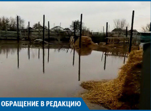 Паводок в Иловлинском районе: утонувший скот и затопленные дома Паводок в Иловлинском районе: утонувший скот и затопленные дома