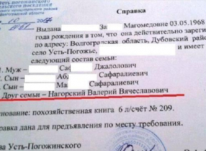 Чиновник устроил шведскую семью под Волгоградом Чиновник устроил шведскую семью под Волгоградом