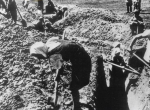 Календарь: 17 сентября 1942 год- Сталинградский комитет обороны приказал всему взрослому населению рыть окопы Календарь: 17 сентября 1942 год- Сталинградский комитет обороны приказал всему взрослому населению рыть окопы