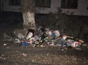 В огромную помойку превратили дворы на юге Волгограда В огромную помойку превратили дворы на юге Волгограда
