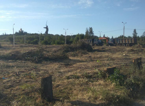 Волгоградские чиновники признали - вместо парка будет автостоянка Волгоградские чиновники признали - вместо парка будет автостоянка