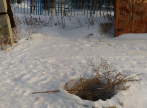 В Волгограде малыши ходят в детский сад мимо открытого колодца с горячей водой В Волгограде малыши ходят в детский сад мимо открытого колодца с горячей водой 
