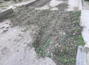 Сорняками и скошенной травой залатали дорогу на севере Волгограда Сорняками и скошенной травой залатали дорогу на севере Волгограда