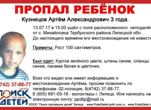 Трехлетнего мальчика из Липецкой области ищут в Волгограде Трехлетнего мальчика из Липецкой области ищут в Волгограде