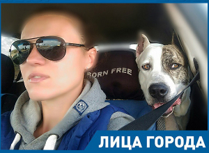 Стаффордширский терьер – лучшая нянька для ребенка, - руководитель волгоградского приюта для стаффтерьеров Стаффордширский терьер – лучшая нянька для ребенка, - руководитель волгоградского приюта для стаффтерьеров
