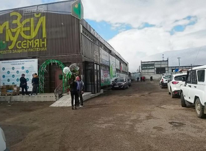 Налетчики совершили дерзкое ограбление Музея семян Волгограда Налетчики совершили дерзкое ограбление Музея семян Волгограда