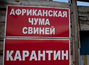 В Волгоградской области под карантин взяли целый хутор В Волгоградской области под карантин взяли целый хутор