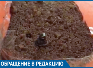 Волгоградка обнаружила клепку в буханке хлеба Волгоградка обнаружила клепку в буханке хлеба
