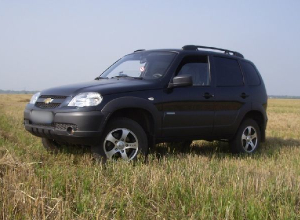 Труп мужчины обнаружен в Niva Chevrolet под Урюпинском Труп мужчины обнаружен в Niva Chevrolet под Урюпинском