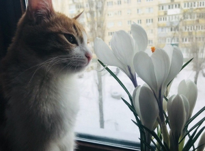Туман, дождь и до +18°С обещают волгоградские синоптики Туман, дождь и до +18°С обещают волгоградские синоптики
