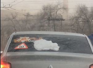 Красные голуби и красный снег: волгоградец озвучил на видео чудеса сурового города Красные голуби и красный снег: волгоградец озвучил на видео чудеса сурового города