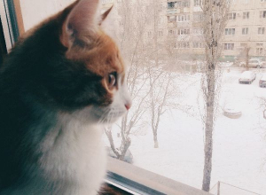 К зиме до сих пор не готовы школы и больницы Волгограда К зиме до сих пор не готовы школы и больницы Волгограда