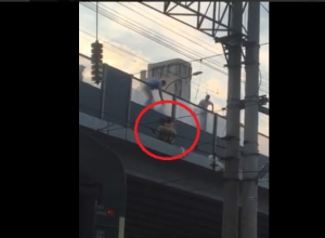 Голый волгоградец устроил «шоу» на Комсомольском мосту и попал на видео Голый волгоградец устроил «шоу» на Комсомольском мосту и попал на видео