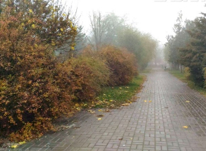 Дожди в области и туман в Волгограде обещают синоптики Дожди в области и туман в Волгограде обещают синоптики