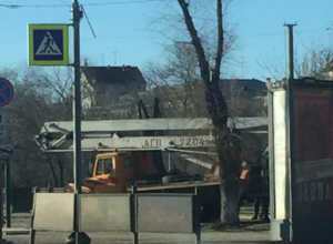 В Волгограде снова пилят деревья В Волгограде снова пилят деревья