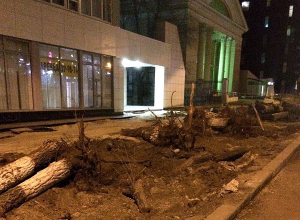 Продолжается уничтожение зеленых насаждений в Волгограде Продолжается уничтожение зеленых насаждений в Волгограде