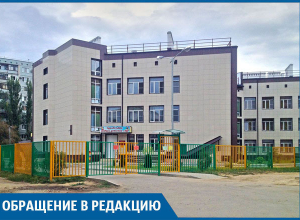 Свора диких собак атаковала детский сад на юге Волгограда Свора диких собак атаковала детский сад на юге Волгограда
