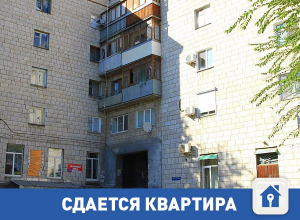 Сдам дешево квартиру в центре Волгограда Сдам дешево квартиру в центре Волгограда