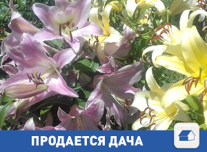 Срочно продается дача Срочно продается дача