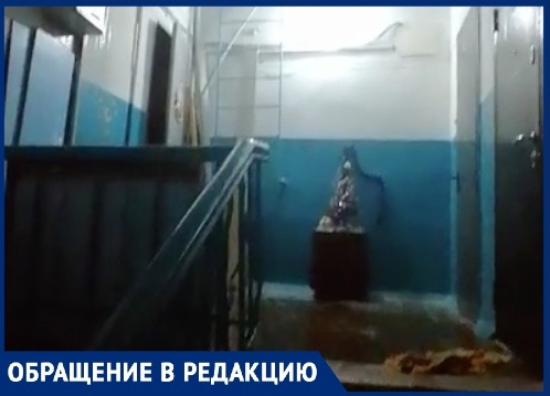 Снегопадом затопило многоквартирный дом в Волгограде Снегопадом затопило многоквартирный дом в Волгограде
