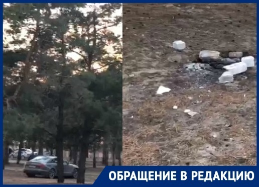 Постоянный «шашлык - пати» в лесу рядом с ЖК «Янтарный город» надоел волгоградцам Постоянный «шашлык - пати» в лесу рядом с ЖК «Янтарный город» надоел волгоградцам
