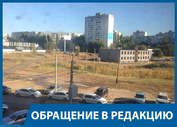 Озеро с утками и черепахами затянуло фекалиями на западе Волгограда Озеро с утками и черепахами затянуло фекалиями на западе Волгограда